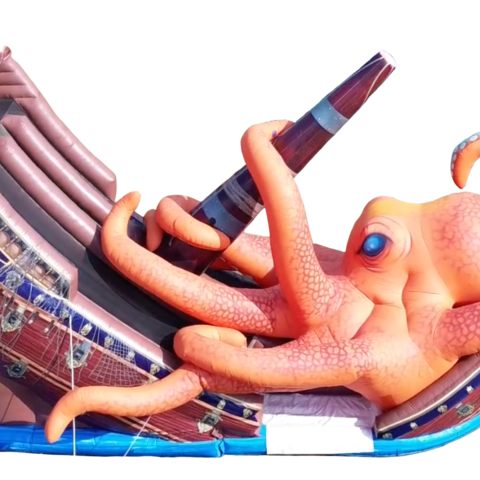 35ft Kraken Slide 2