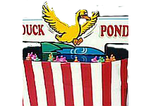 Duck Pond
